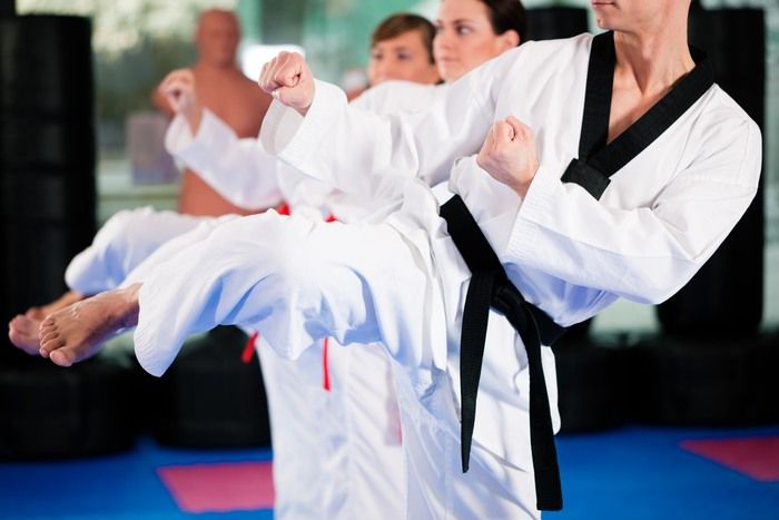 <center>Premier Martial Arts Training From The Experts<center>